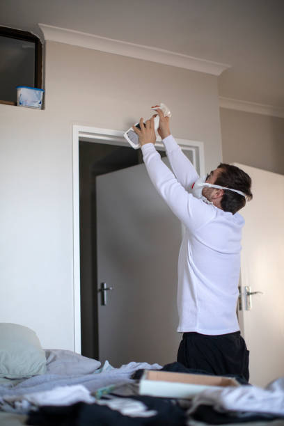 Best Mold Damage Restoration  in Llington, MI