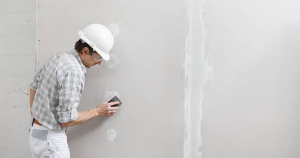 Best Black Mold Removal  in Llington, MI