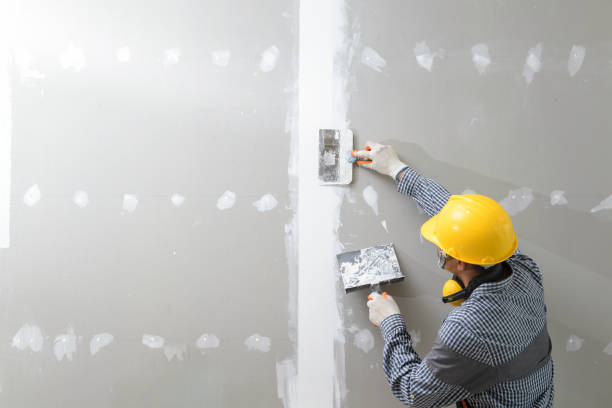 Best Biohazard Mold Removal  in Llington, MI