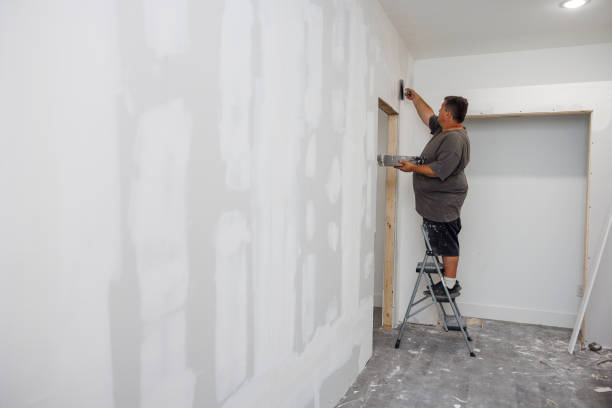Biohazard Mold Removal in Millington, MI