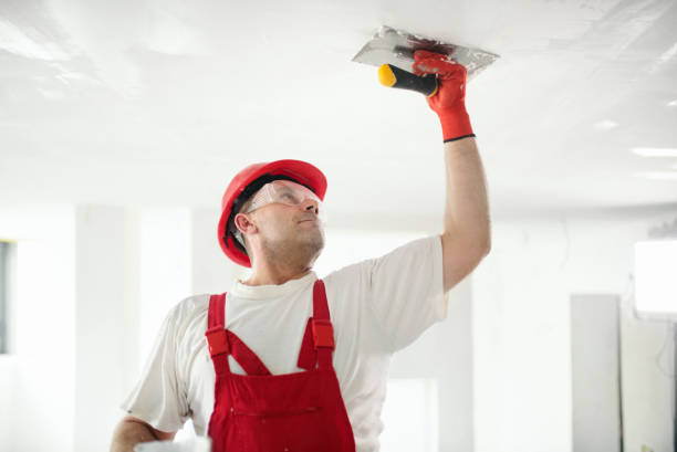 Best Post-Construction Mold Inspection  in Llington, MI