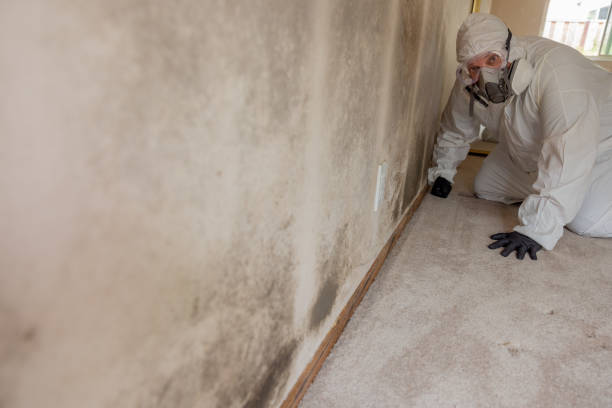 Best Indoor Air Quality Assessment  in Llington, MI