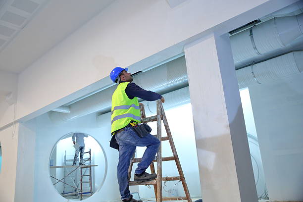  Llington, MI Mold Removal Pros